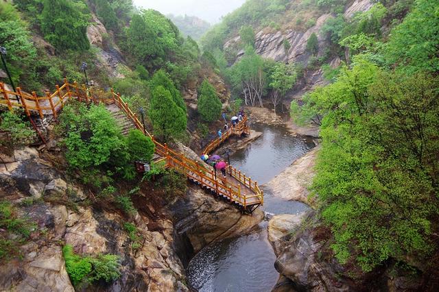 小汪汪